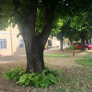 Argo Rimini